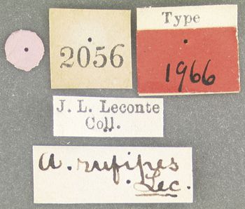 Media type: image;   Entomology 1966 Aspect: labels